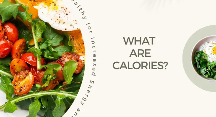 What Are Calories?