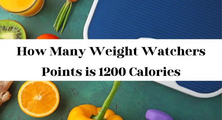 How Many Weight Watchers Points is 1200 Calories