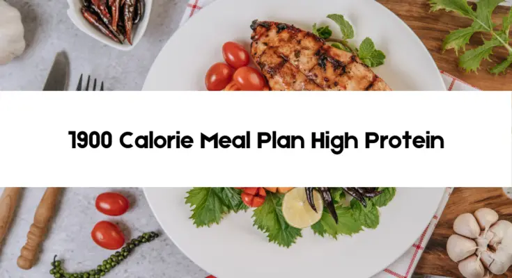 1900 calorie meal plan high protein