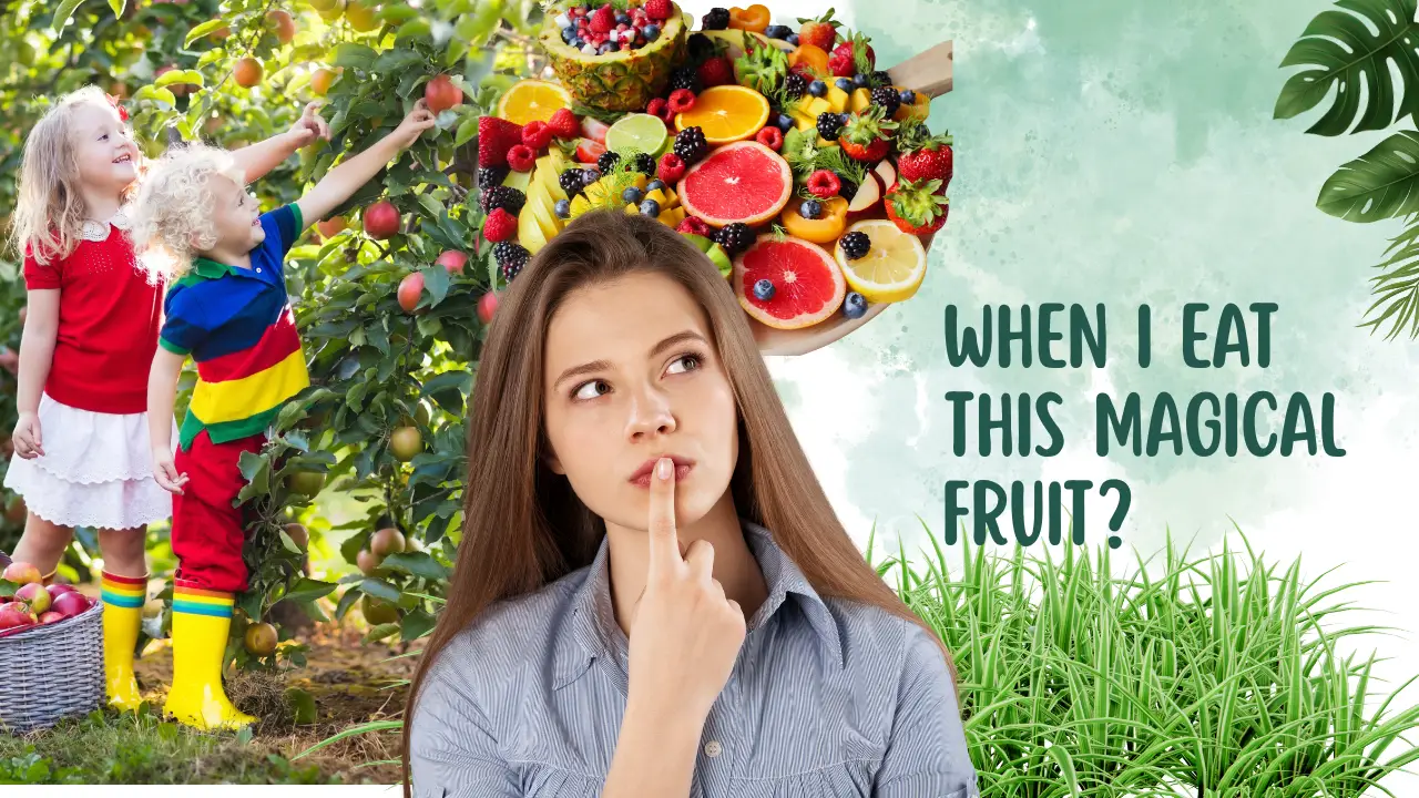 zero calorie fruits