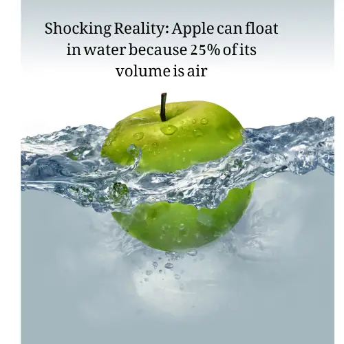 Apple float on water