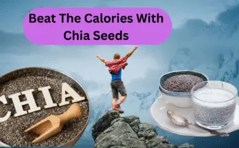Chia seeds benefits for skin, hair , and weight loss