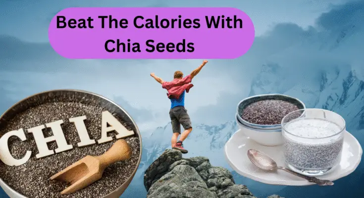 Chia seeds benefits for skin, hair , and weight loss