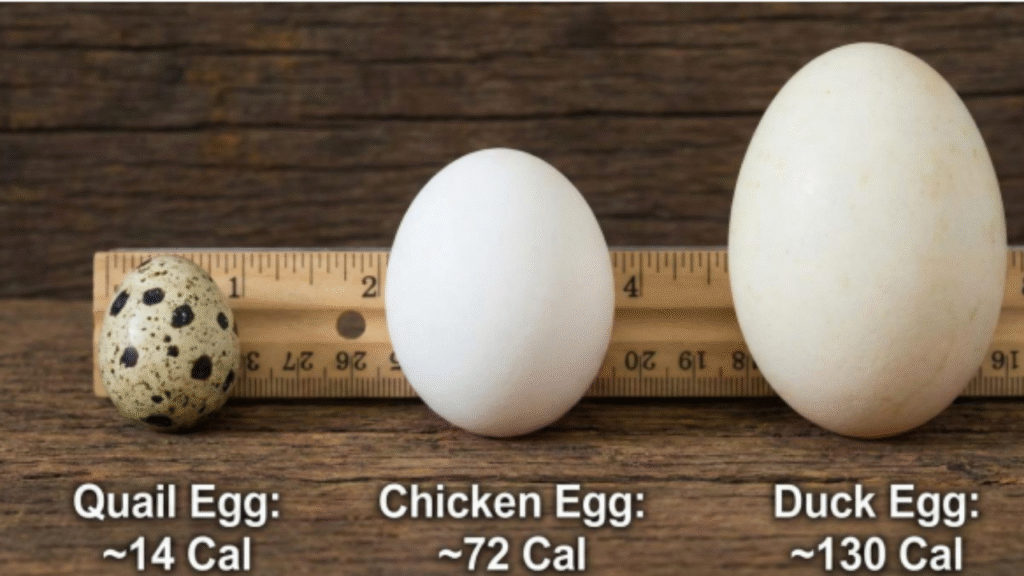 type of eggs