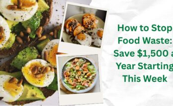 how to stop food waste