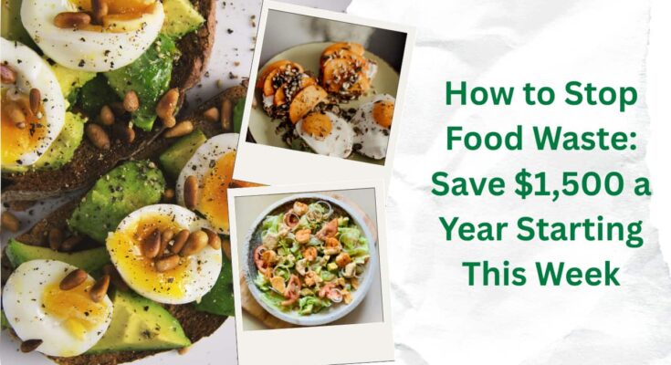 how to stop food waste