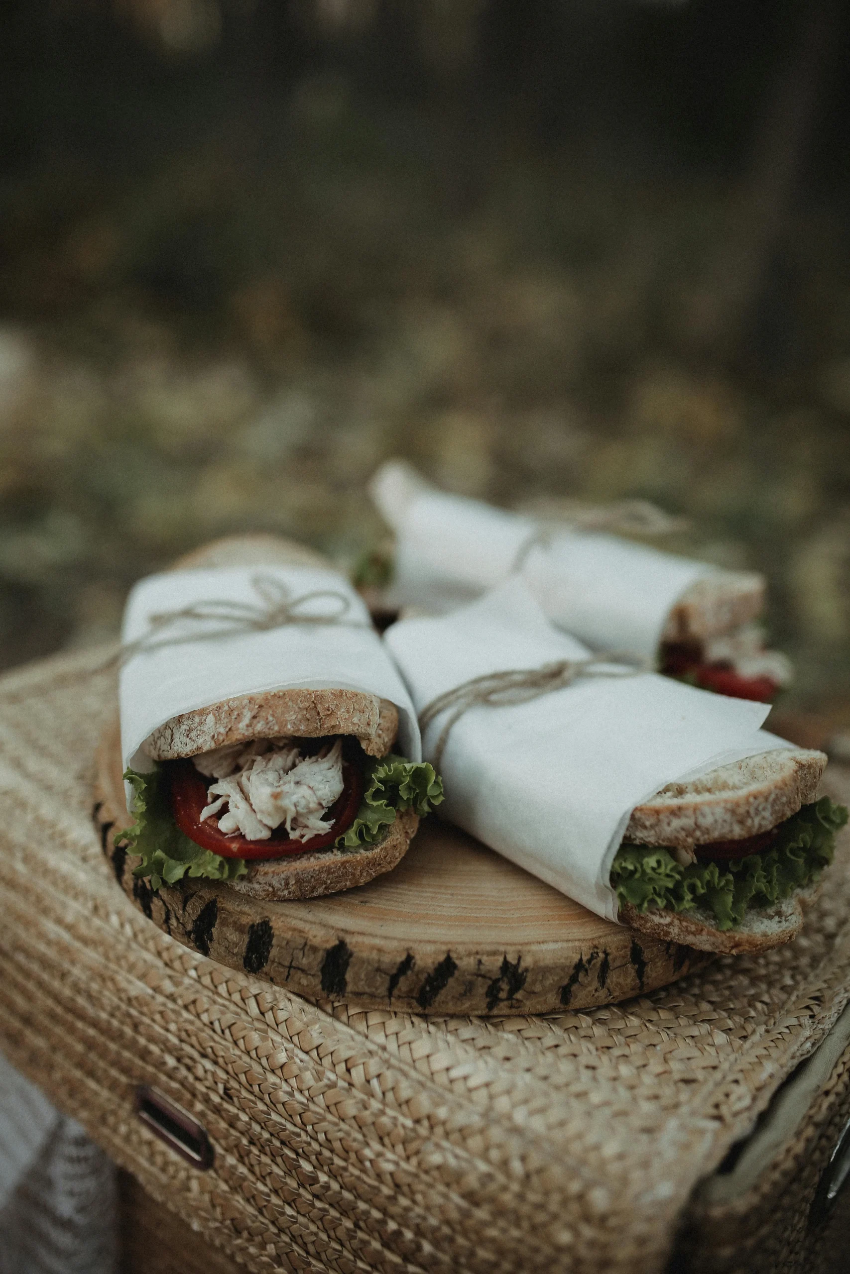 Mackerel Wrap Lunch Ideas