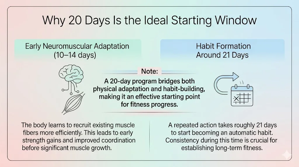 barre workout plan